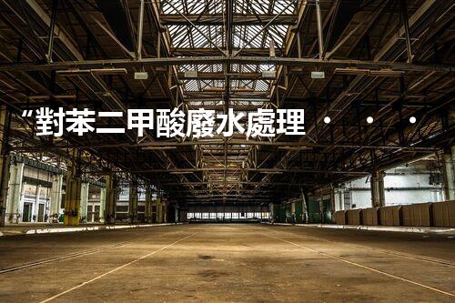 “對苯二甲酸廢水處理，綠色創(chuàng)新引領環(huán)保新篇章”